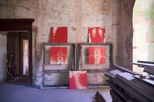 Wystawa Dowody na OBECNOŚĆ w Pałacu Struga, zdj. Aurelia Tymińska