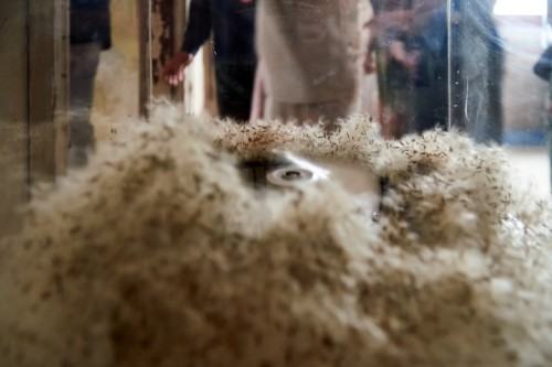 NIE/OBECNOŚĆ czyli o desublimacji sztuki NIE/OBECNOŚĆ czyli o desublimacji sztuki