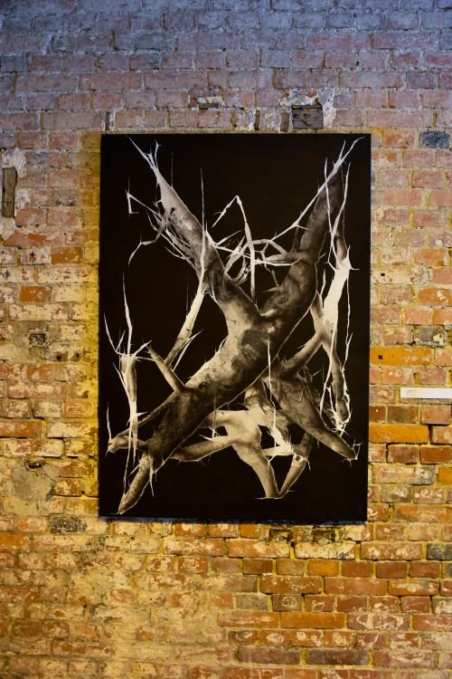 wystawa Widmo Antropocenu wystawa Widmo Antropocenu