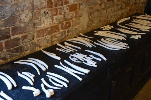 wystawa Widmo Antropocenu wystawa Widmo Antropocenu