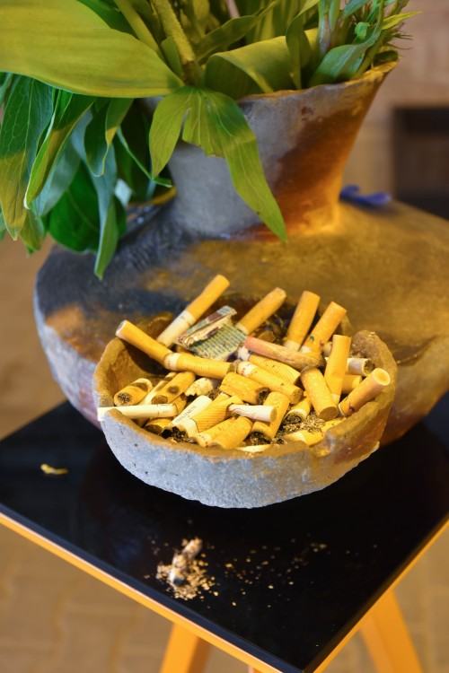 wystawa Widmo Antropocenu wystawa Widmo Antropocenu