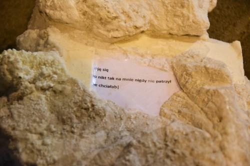 wystawa Widmo Antropocenu wystawa Widmo Antropocenu