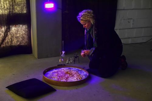 fotorelacja z wystawy TINNITUS AURIS fotorelacja z wystawy TINNITUS AURIS