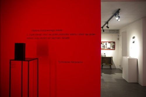 Cegła. Karolina Wiśniewska