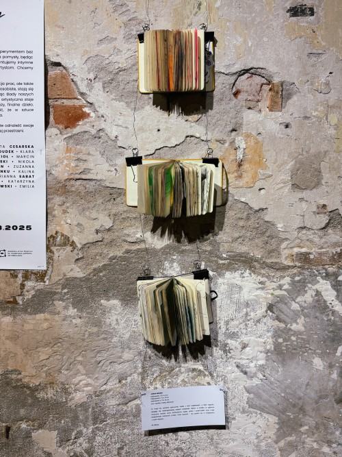 Szkic jako manifest. Wokół wystawy „Ścieżki i ślady”Karolina Poddębniak