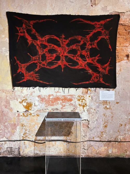 Szkic jako manifest. Wokół wystawy „Ścieżki i ślady”Karolina Poddębniak