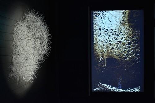 I Edycja Konkursu i Wystawa Najlepszych Dyplomów Scenografii