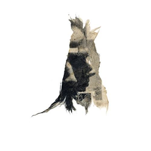 Fragmented self, Dokudowicz