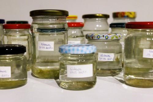 Przepływ_wernisaż Geppart