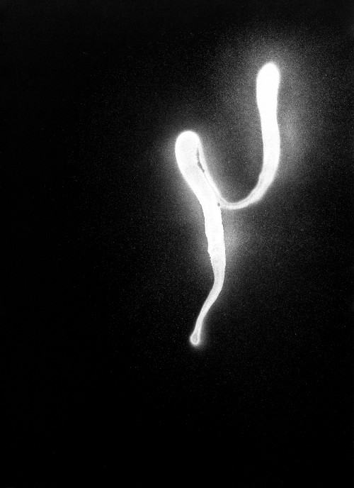 Hiraku Suzuki Genzo Hiraku Suzuki Genzo