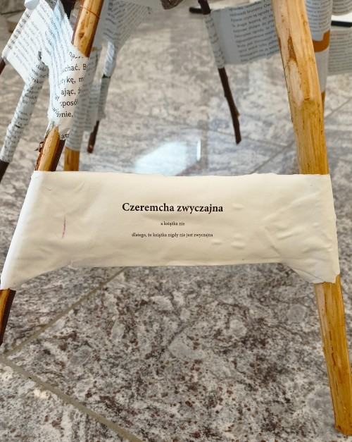 Obecnośc i nieobecność, A. Juchnowicz