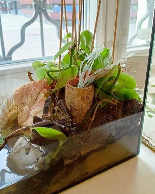 Obecnośc i nieobecność, A. Juchnowicz