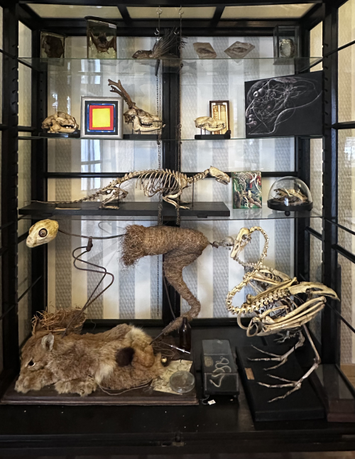 Na pograniczu światów V. Piękno anatomii