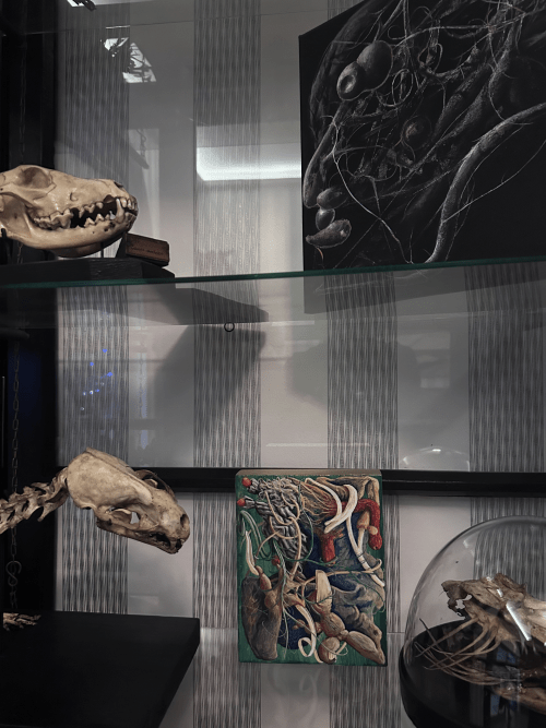 Na pograniczu światów V. Piękno anatomii