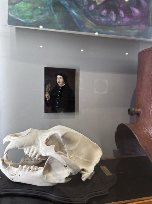 Na pograniczu światów V. Piękno anatomii