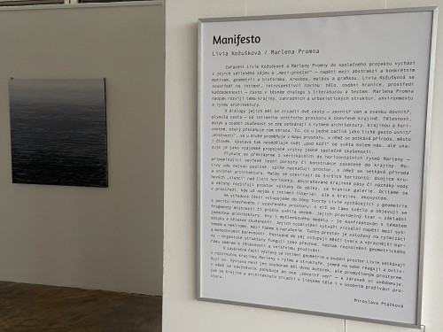 Manifesto