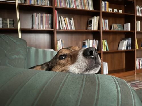 Sonia Ruciak_rezydencja artystyczna