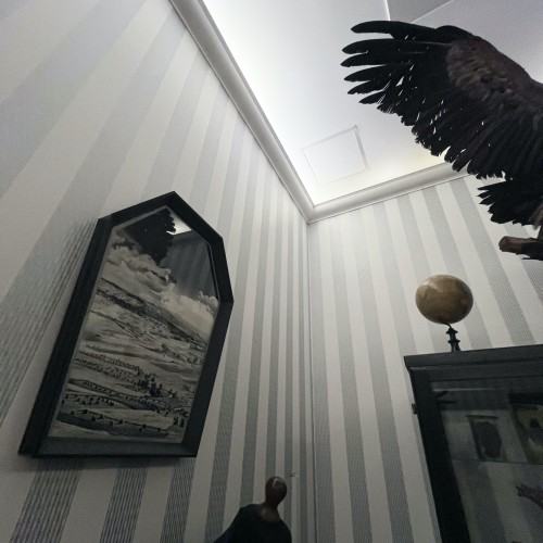 Wyspa Dnia Poprzedniego, fot. Łukasz Huculak