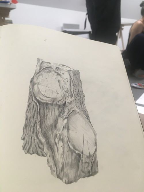 Plener Luboradów, 1 rok Rysunku