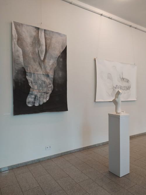 Corpus Humanum II Corpus Humanum II