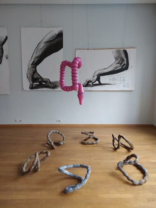 Corpus Humanum II Corpus Humanum II