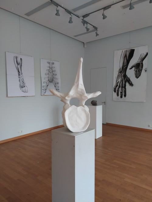 Corpus Humanum II Corpus Humanum II