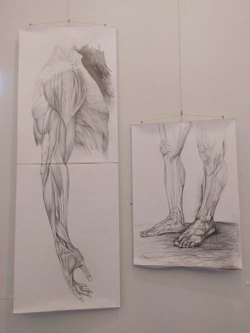 Corpus Humanum II Corpus Humanum II