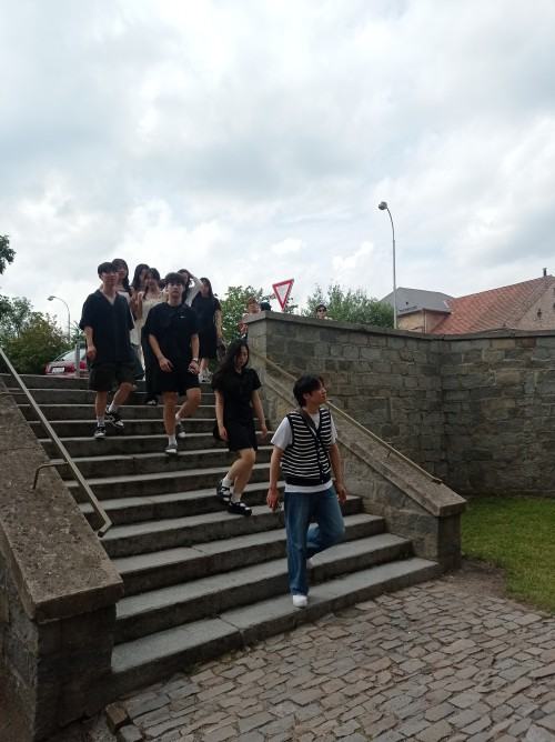 Summer Art and Design School 2024