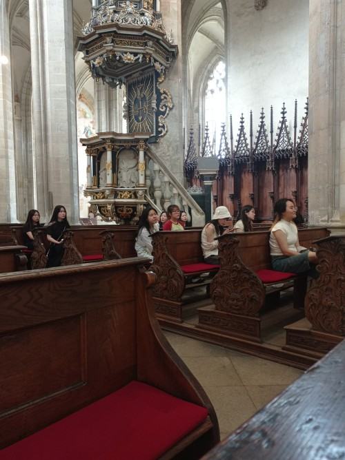 Summer Art and Design School 2024