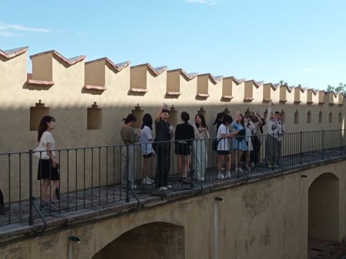 Summer Art and Design School 2024