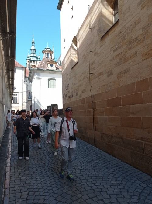 Summer Art and Design School 2024