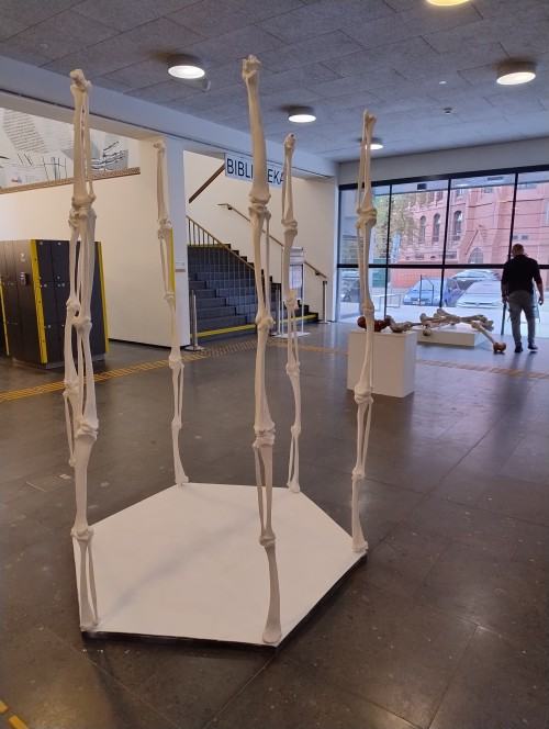 Corpus Humanum III Corpus Humanum III