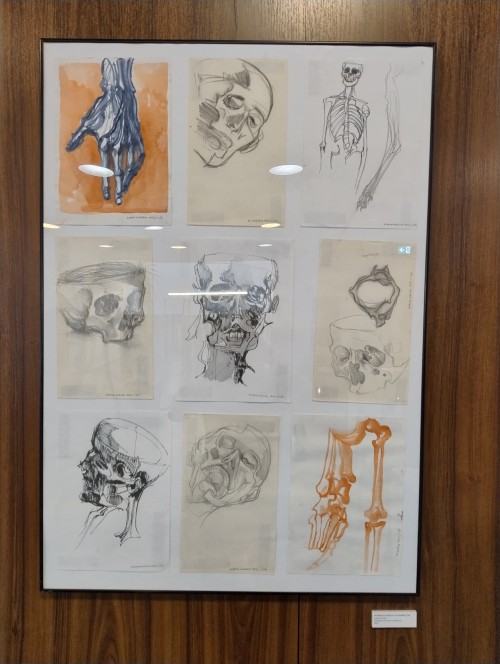 Corpus Humanum III Corpus Humanum III