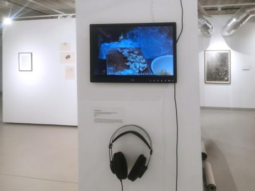 Wystawa Wasze domy nucą nasze pieśni Wystawa Wasze domy nucą nasze pieśni