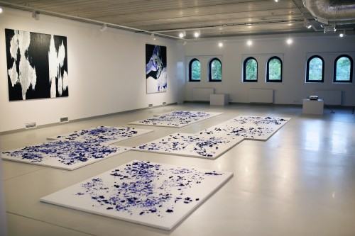 Wernisaż wystawy Urszuli Wilk pt. Płynność światła, tańce pielgrzymującej wody, zdj. Justyna Żak