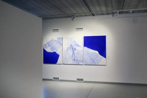 Wernisaż wystawy Urszuli Wilk pt. Płynność światła, tańce pielgrzymującej wody, zdj. Justyna Żak