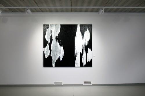 Wernisaż wystawy Urszuli Wilk pt. Płynność światła, tańce pielgrzymującej wody, zdj. Justyna Żak