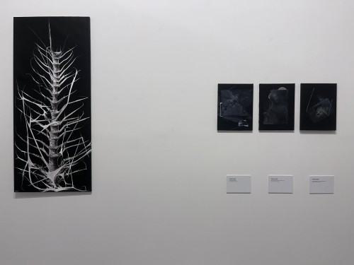 Fotorelacja z wystawy Obrraz 2