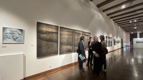 Cyfrowe konfrontacje