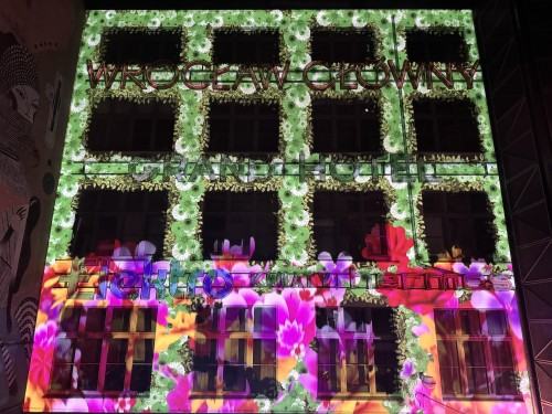 Neony, fot. S. Siepietowski