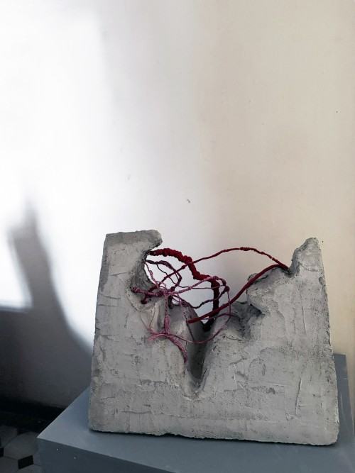 Konkurs Super Forma 2025 Konkurs Super Forma 2025