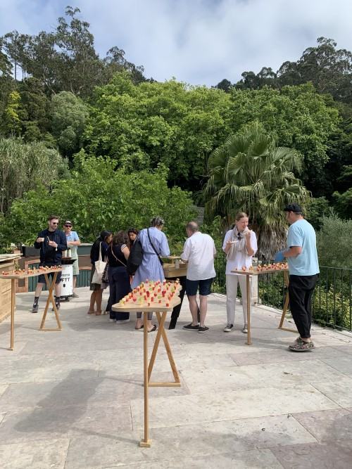 The World’s Most Beautiful Business Festival