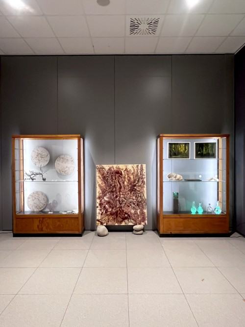 Na pograniczu światów IV. Imperium chlorofilu