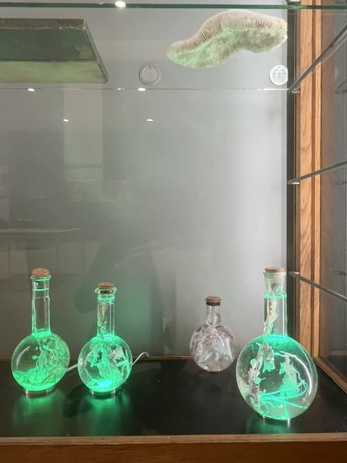 Na pograniczu światów IV. Imperium chlorofilu