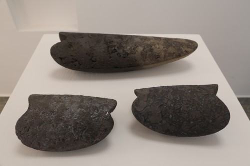 K. Rozpondek, Termofile