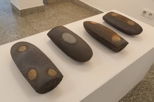 K. Rozpondek, Termofile