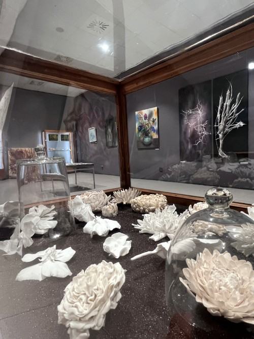 Na pograniczu światów IV. Imperium chlorofilu