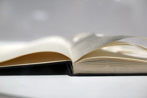 Wernisaż wystawy OPSK w galerii Sztuka na miejscu Wernisaż wystawy OPSK w galerii Sztuka na miejscu