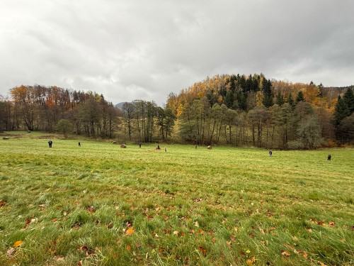 Connect – Campus Summer School – szkoła wymiany Connect – Campus Summer School – szkoła wymiany