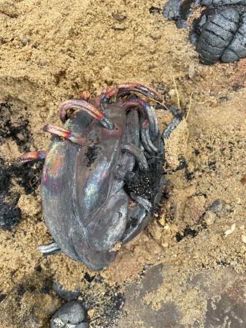 Ceramiczne działania warsztatowe w Luboradowie Ceramiczne działania warsztatowe w Luboradowie